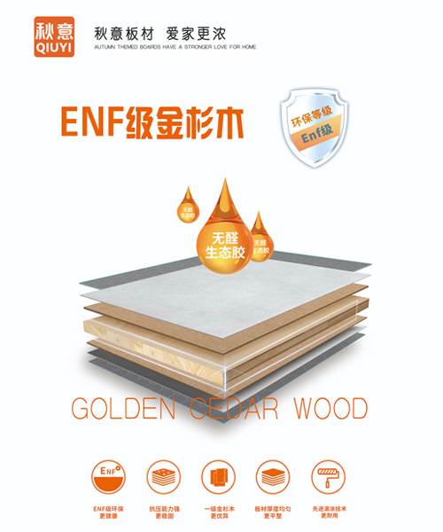 ENF级金杉木 